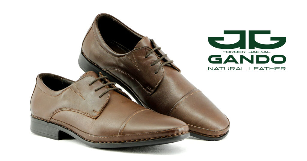 کفش پولاریس برت بندی قهوه ای