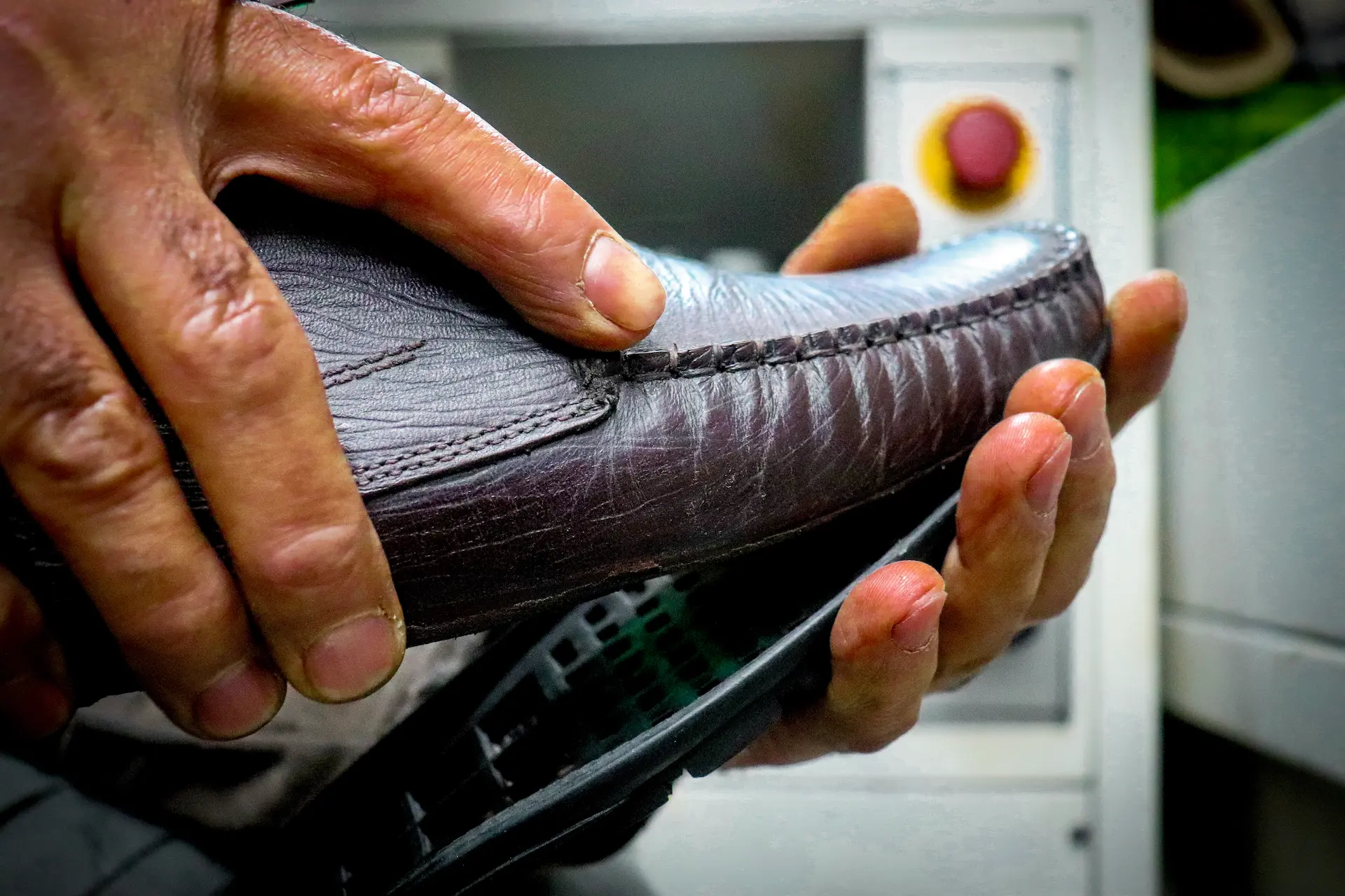 IMG E4150 صفحه اصلی